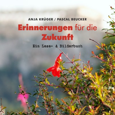 'Cover von Erinnerungen für die Zukunft'-Cover