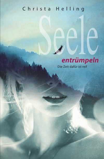 'Cover von Seele entrümpeln'-Cover