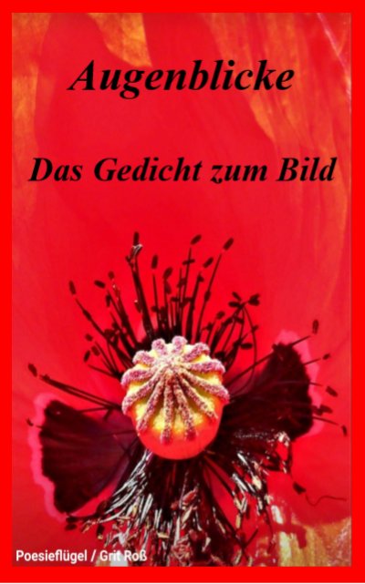 'Cover von Augenblicke – Das Gedicht zum Bild'-Cover