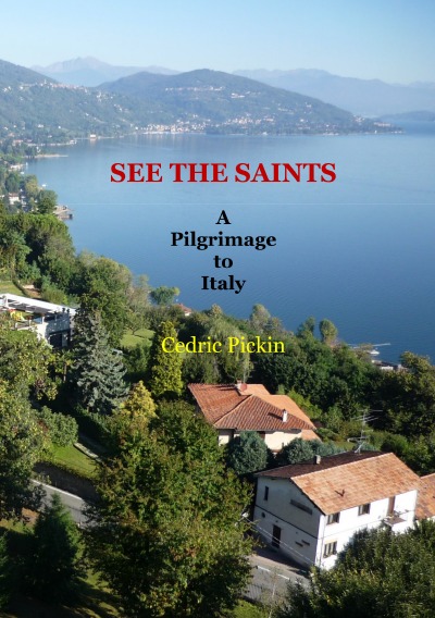 'Cover von SEE THE SAINTS'-Cover