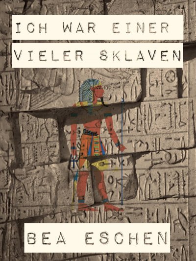 'Cover von Ich war einer vieler Sklaven'-Cover