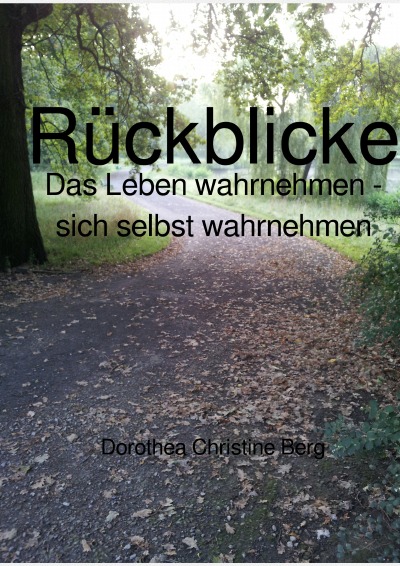 'Cover von Rückblicke'-Cover