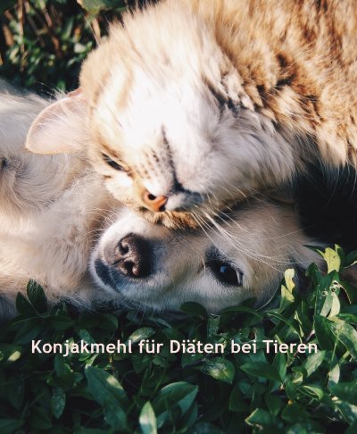 'Cover von Konjakmehl für Diäten bei Tieren'-Cover