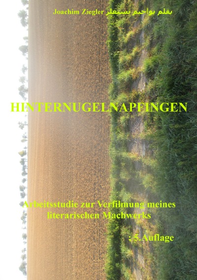 'Cover von Hinternugelnapfingen 5.Auflage Januar 2020'-Cover