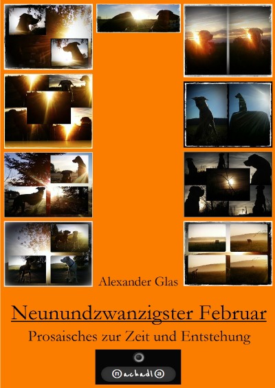 'Cover von NEUNUNDZWANZIGSTER FEBRUAR'-Cover