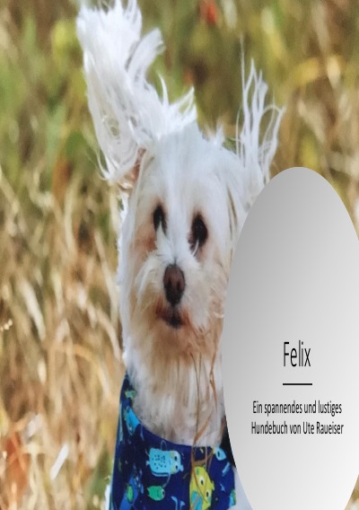 'Cover von Felix'-Cover