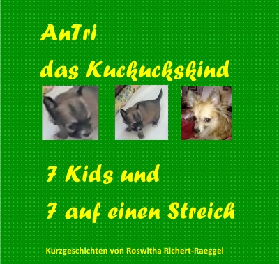 'Cover von AnTri das Kuckuckskind. 7 und 7 auf einen Streich.'-Cover