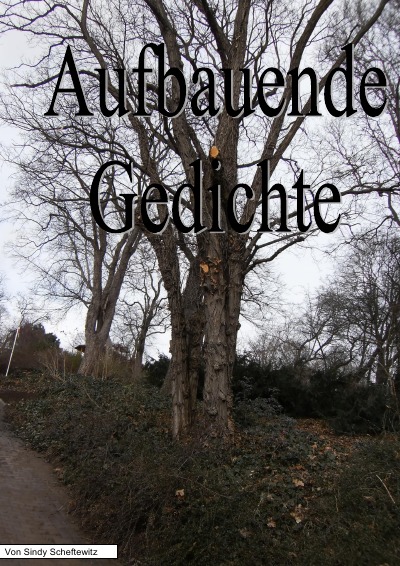 'Cover von Aufbauende Gedichte'-Cover