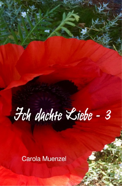 'Cover von Ich dachte Liebe – 3'-Cover